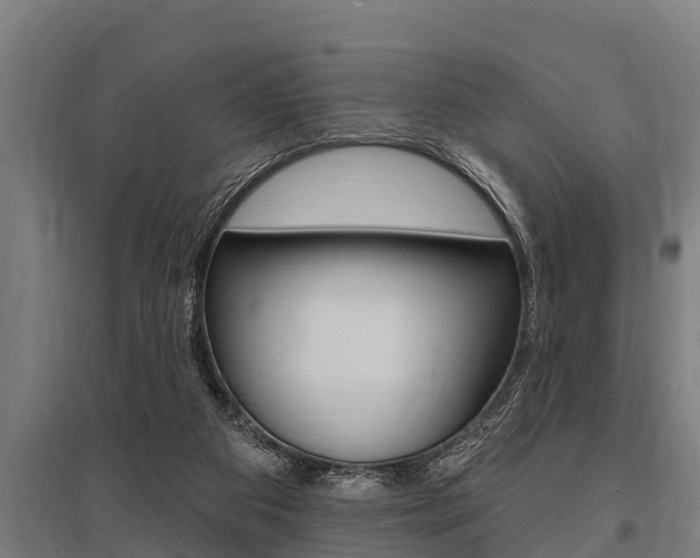 X0000096130113200801180838