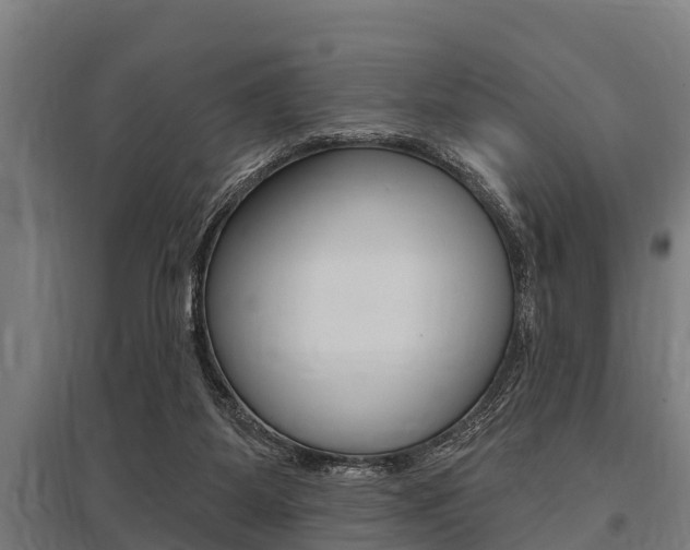 X0000096130115200801180838