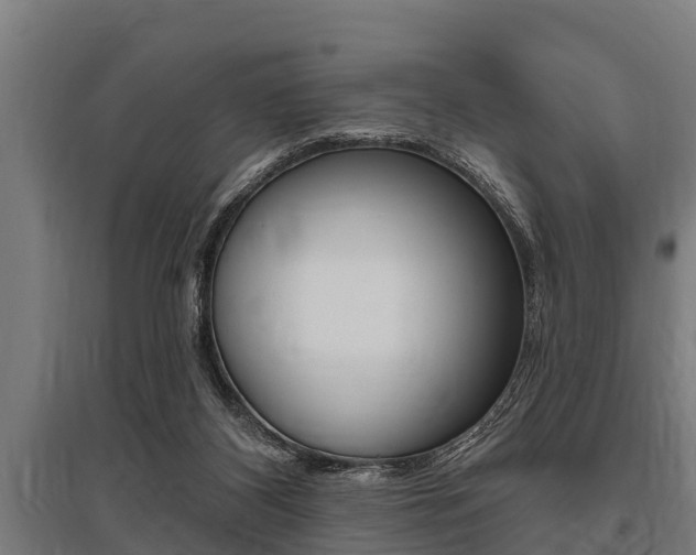 X0000096130116200801180838