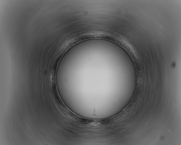 X0000096130119200801180838