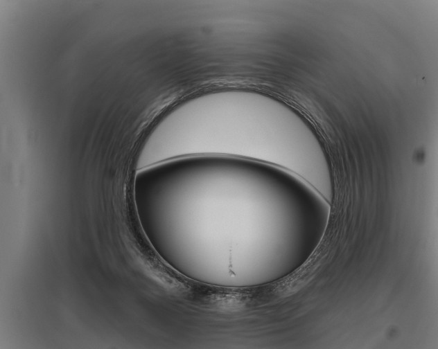X0000096130120200801180838