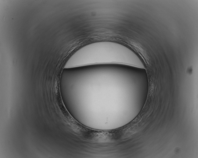 X0000096130121200801180838