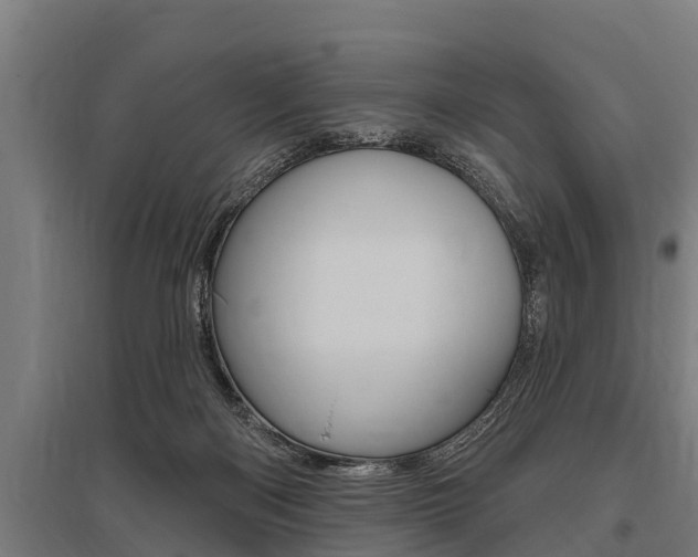 X0000096130122200801180838