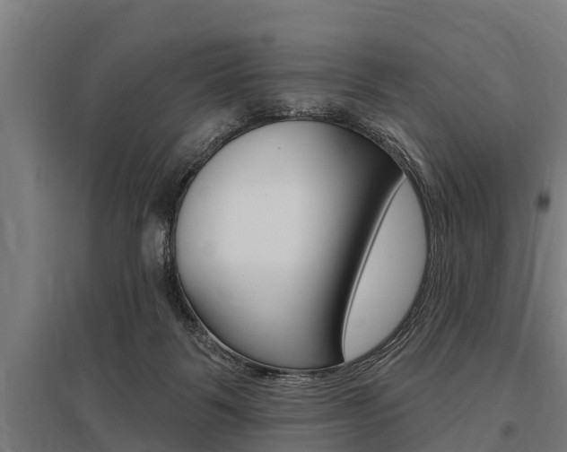 X0000096130123200801180838