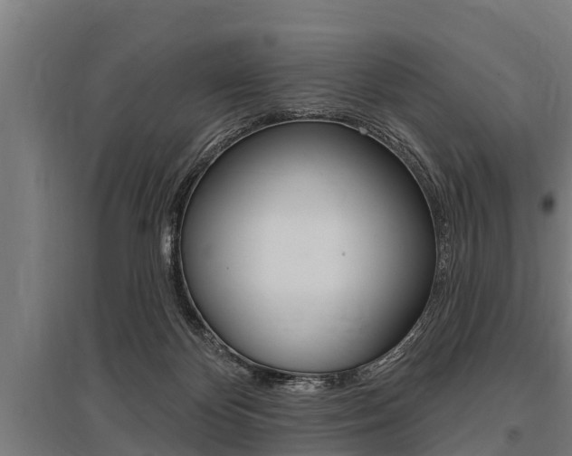 X0000096130124200801180838