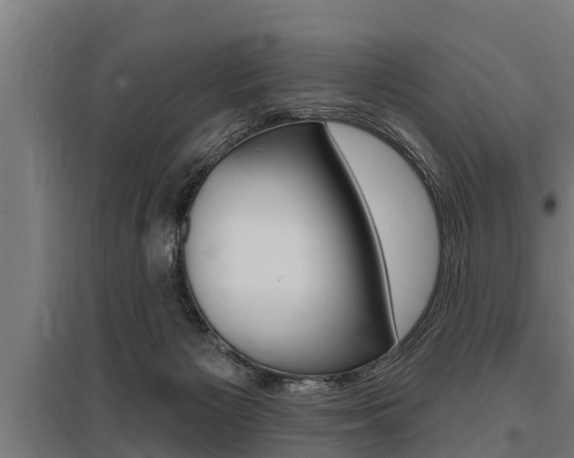 X0000096130125200801180838