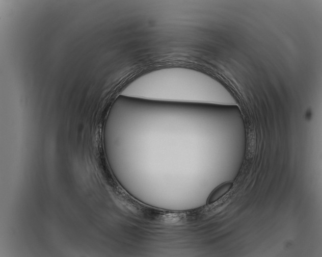 X0000096130126200801180838