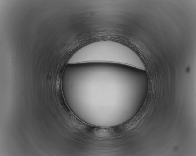 X0000096130129200801180838