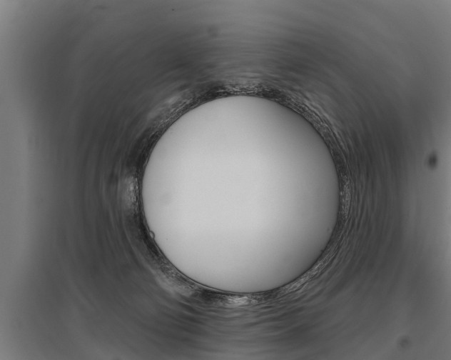 X0000096130130200801180838