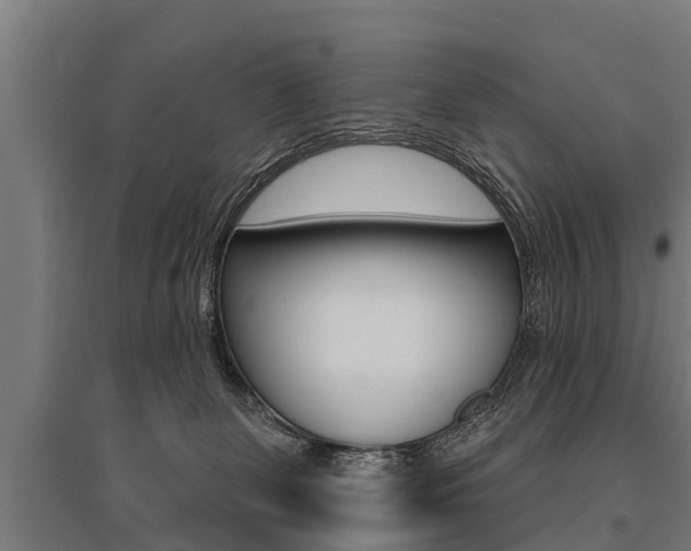 X0000096130131200801180838