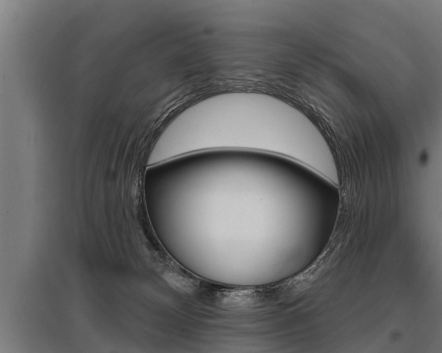 X0000096130132200801180838