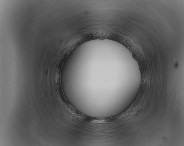 X0000096130133200801180838