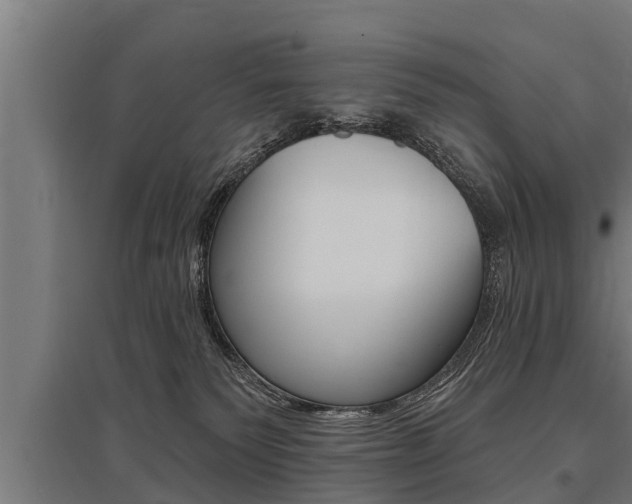 X0000096130135200801180838