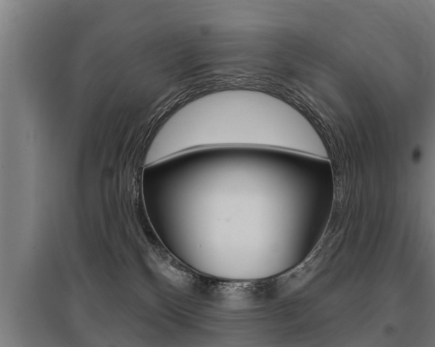 X0000096130136200801180838