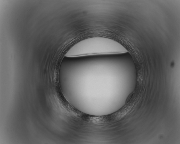 X0000096130139200801180838