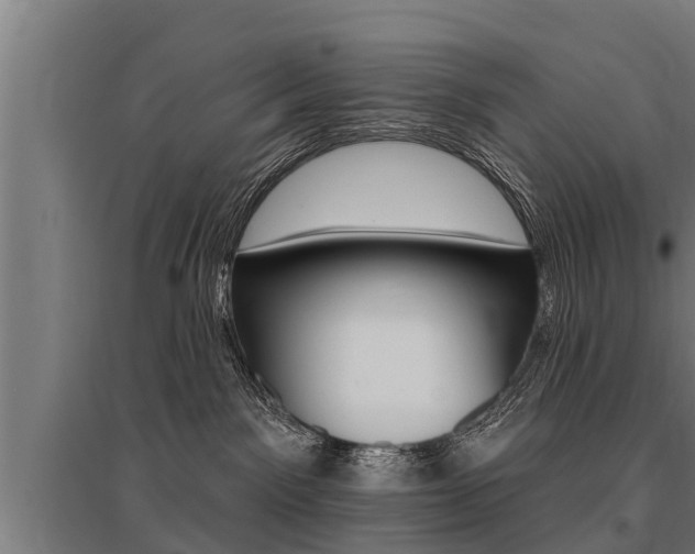 X0000096130141200801180838