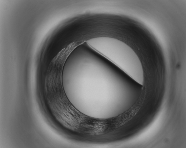 X0000096130143200801180838