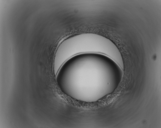 X0000096130144200801180837