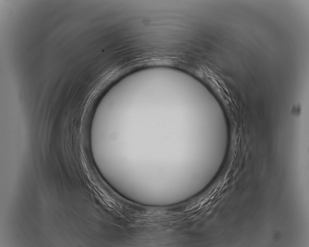 X0000096130145200801180837