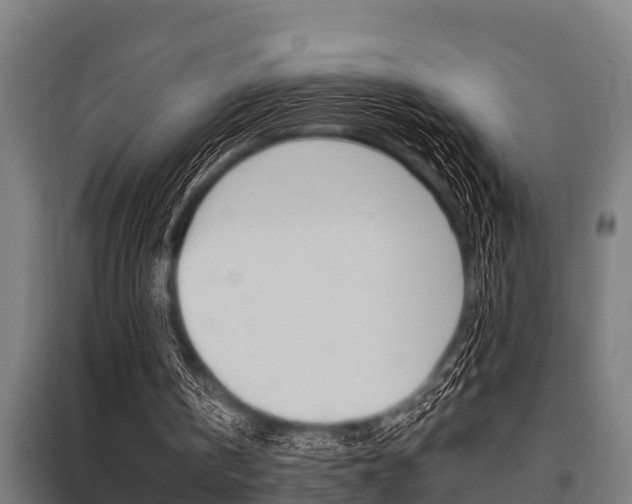 X0000096130146200801180837
