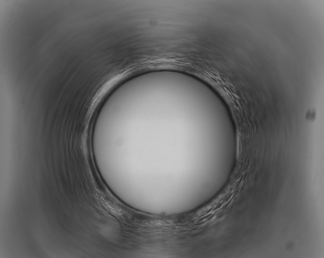 X0000096130147200801180837