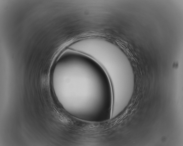 X0000096130148200801180837