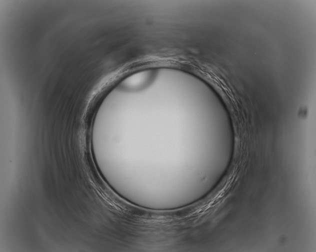 X0000096130149200801180837