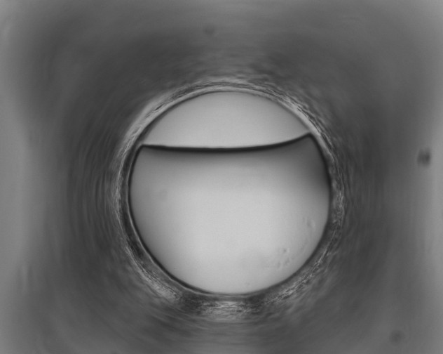 X0000096130151200801180837