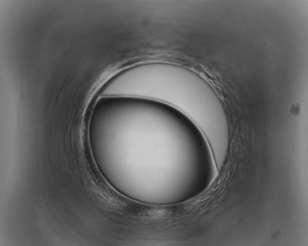 X0000096130152200801180837