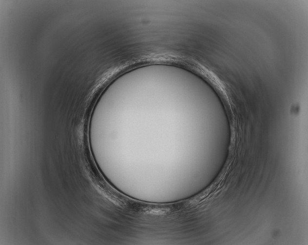 X0000096130155200801180837