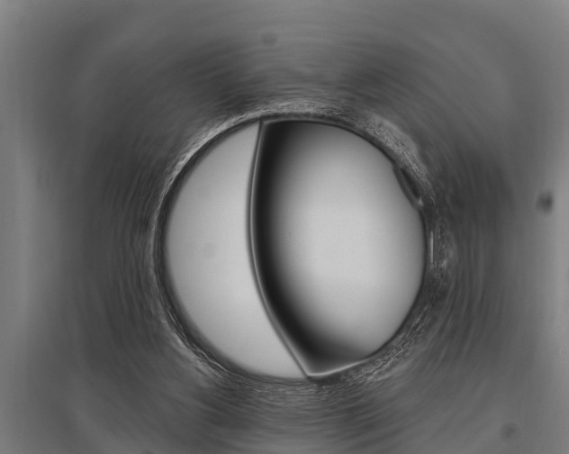 X0000096130156200801180837