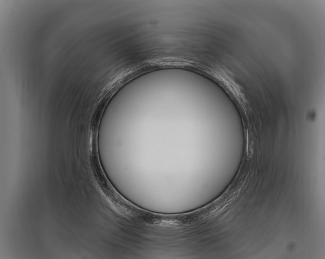 X0000096130157200801180837