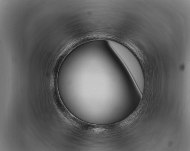 X0000096130158200801180837