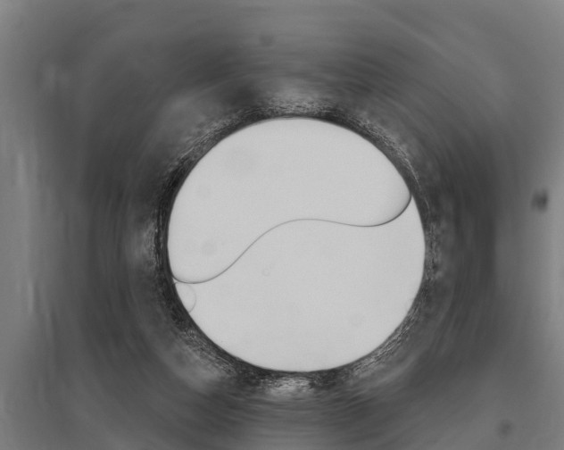 X0000096130162200801180837