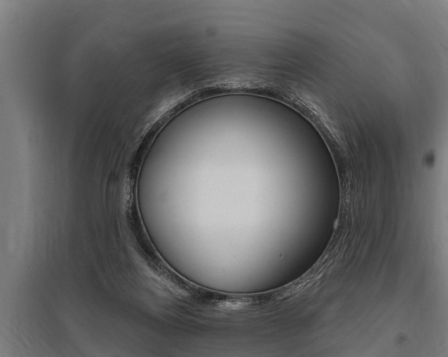 X0000096130164200801180837