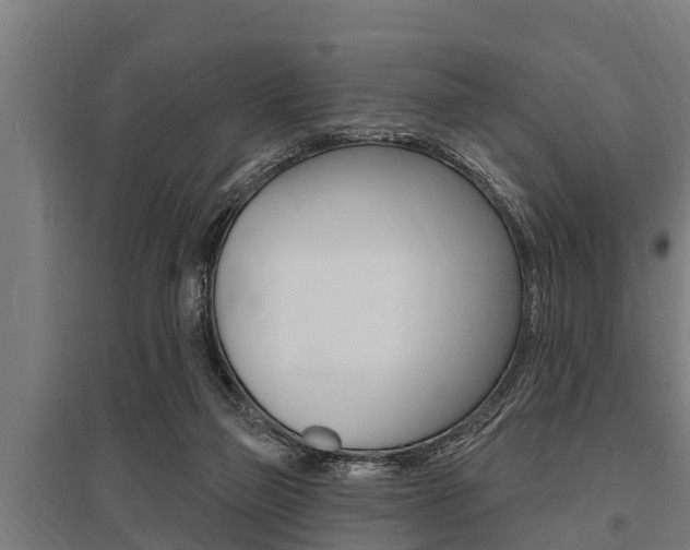X0000096130165200801180837