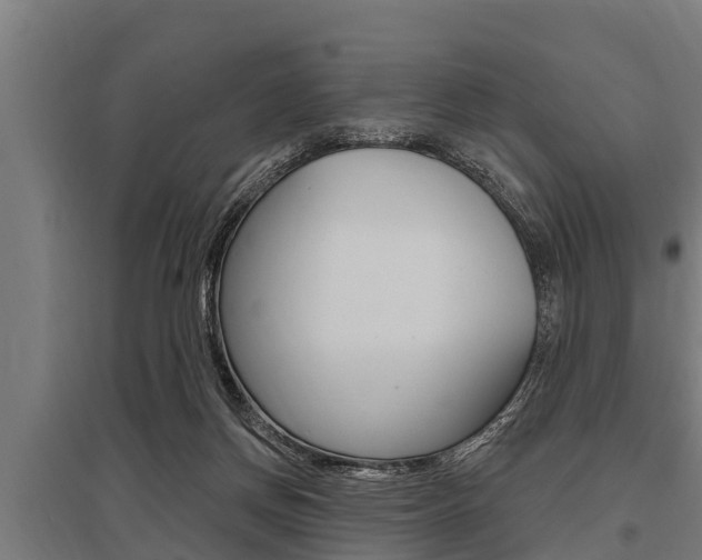 X0000096130166200801180837