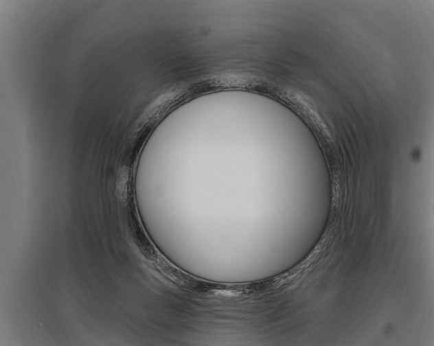X0000096130167200801180837
