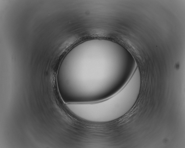 X0000096130168200801180837