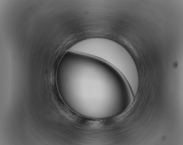 X0000096130170200801180837