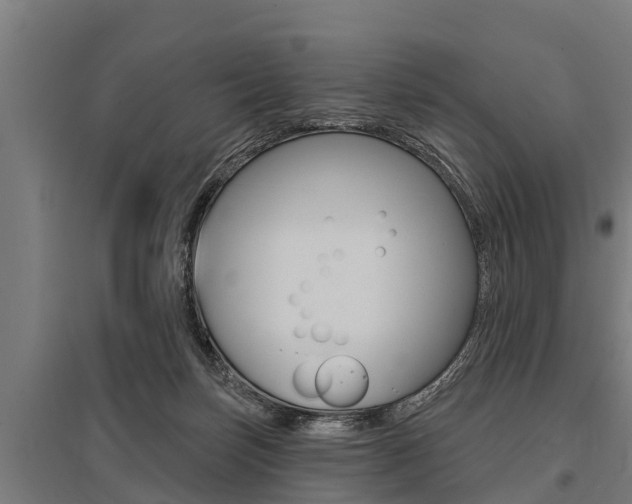 X0000096130171200801180837