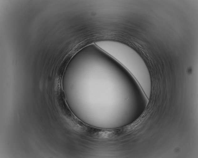 X0000096130172200801180837