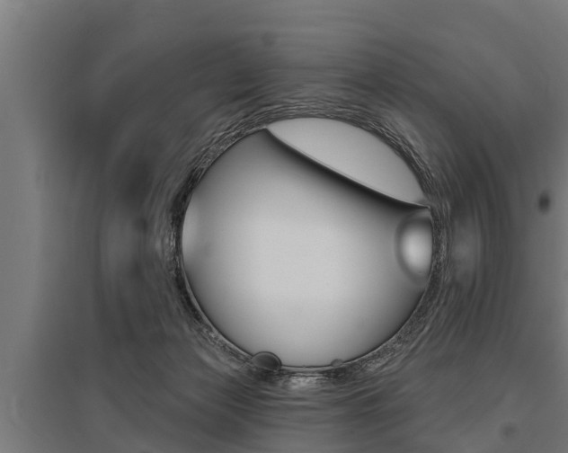 X0000096130173200801180837