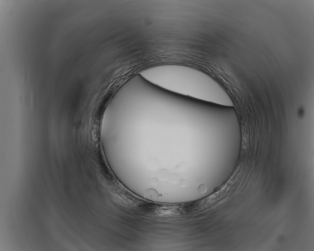 X0000096130175200801180837