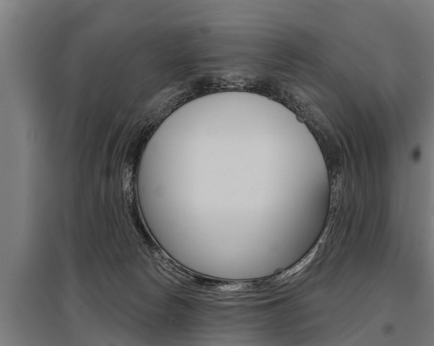 X0000096130178200801180837