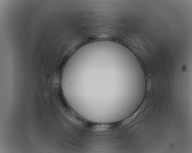 X0000096130179200801180837