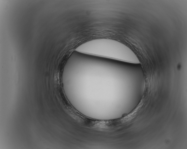 X0000096130182200801180837
