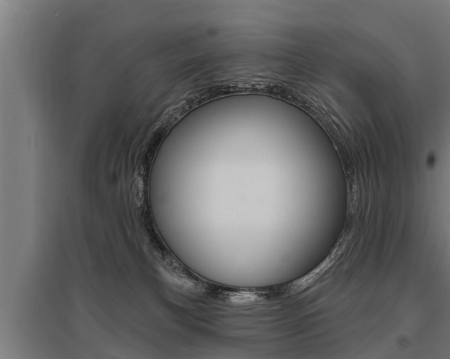 X0000096130183200801180837