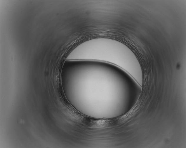 X0000096130184200801180837