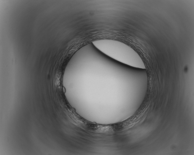 X0000096130185200801180837